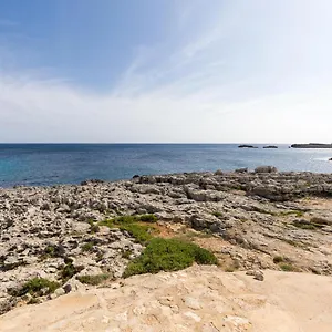 https://binilaya.balearic-islands.net